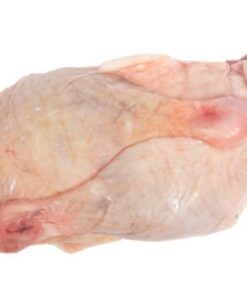 Duck Leg