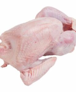 Bronze Turkey
