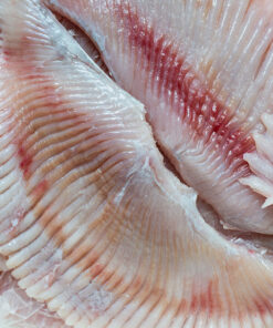 Skinless Raywings