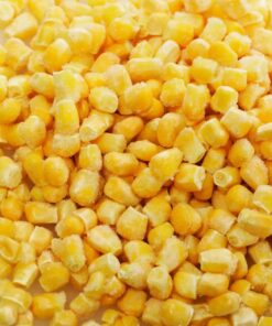 IQF Sweet Corn