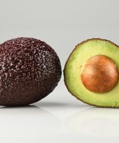 Fresh Avocado
