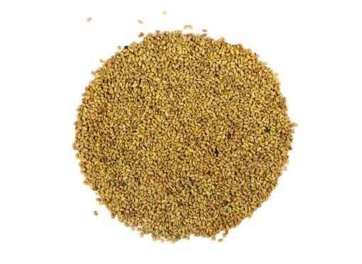 Organic Alfalfa Sprout Seeds