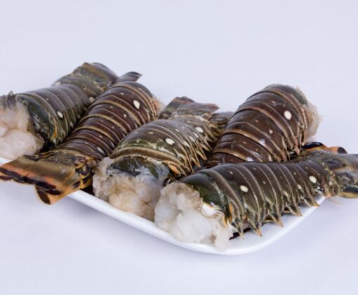 Lobster Tail
