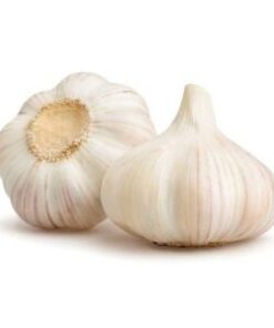Fresh Garlic