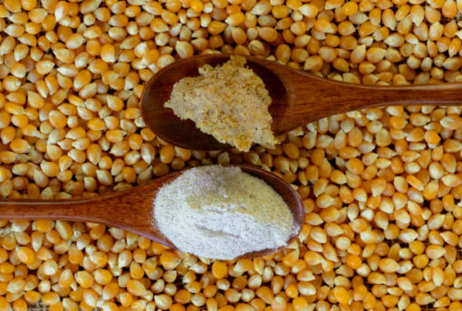 Organic Maize Flour - Image 2