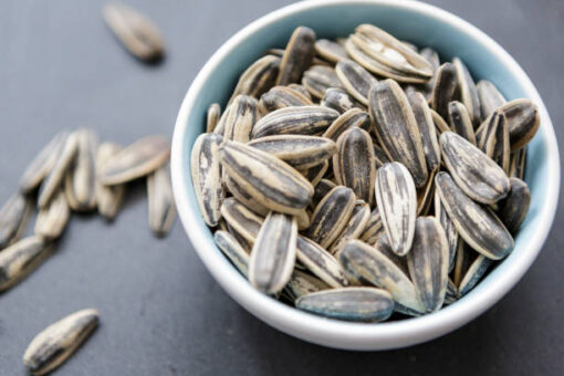 Organic Sunflower Seeds