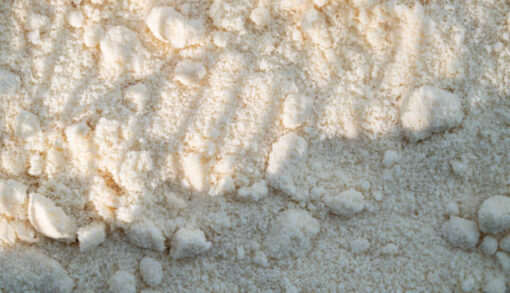 Sweet Whey Powder - Image 2