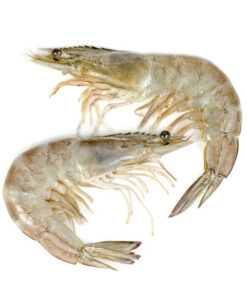 Whole Prawns