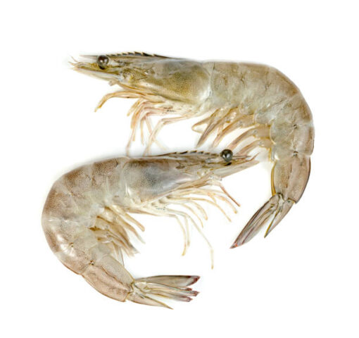 Whole Prawns