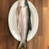 Whole Frozen Robalo