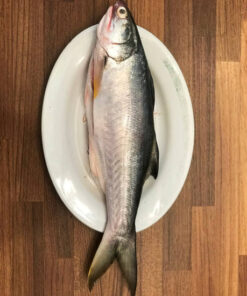 Whole Frozen Robalo