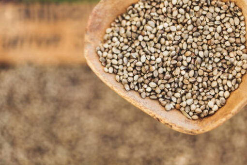 Organic EU Whole Hemp Seeds - Image 2