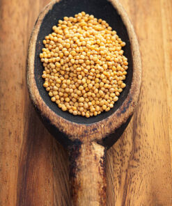 Organic Yellow Mustard Seeds