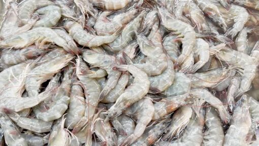 Whole Prawns - Image 2
