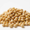 Organic Soya Beans