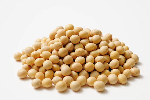 Organic Soya Beans