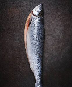 Whole Gutted Salmon