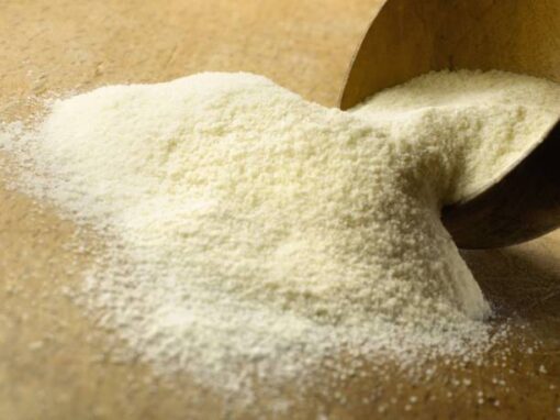 Whole Milk Powder - Image 2
