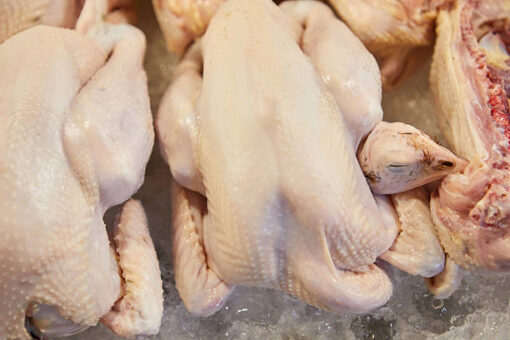 Whole White Chicken - Image 2