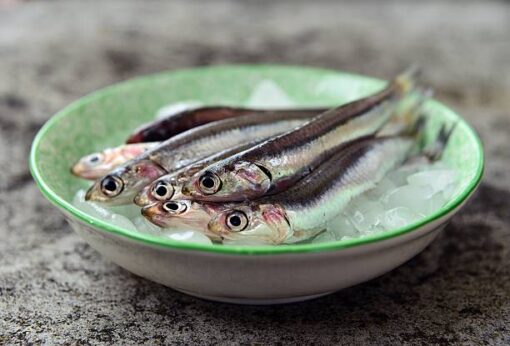 Wild Whole Anchovies - Image 2