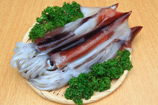 Small Whole Squid - Image 2
