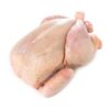 Whole White Chicken