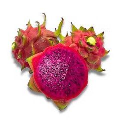 Fresh Dragon Fruit