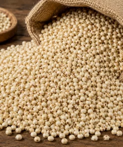 Sorghum