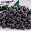 IQF blackberries for wholesale supply by TG-Trading B.V.