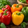 Fresh Bell Peppers