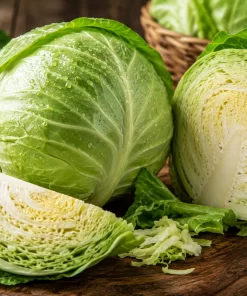 Fresh cabbage for wholesale supply by TG-Trading B.V.