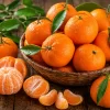Fresh mandarins for wholesale supply by TG-Trading B.V.