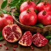 Fresh pomegranates for wholesale supply by TG-Trading B.V.