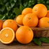 Fresh Oranges - Fresh oranges for wholesale supply by TG-Trading B.V.