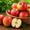 Fresh Apples - Fresh apples for wholesale supply by TG-Trading B.V.